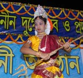 Baghbazar Puja 2008