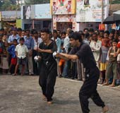 Baghbazar Puja 2008