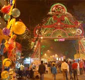 Baghbazar Puja 2008