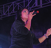 Baghbazar Puja 2014